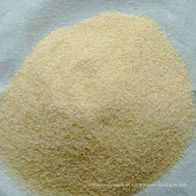 Garlic Granule